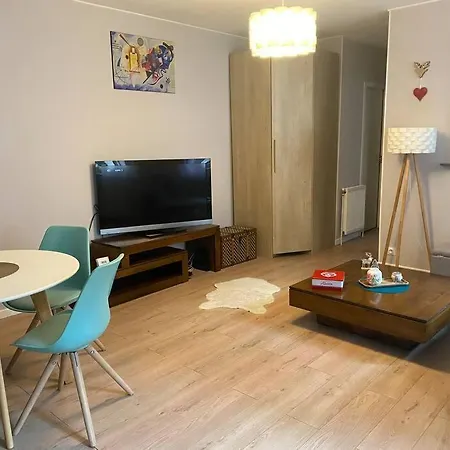 Bel Cosy Proche Centre / Gare Colmar