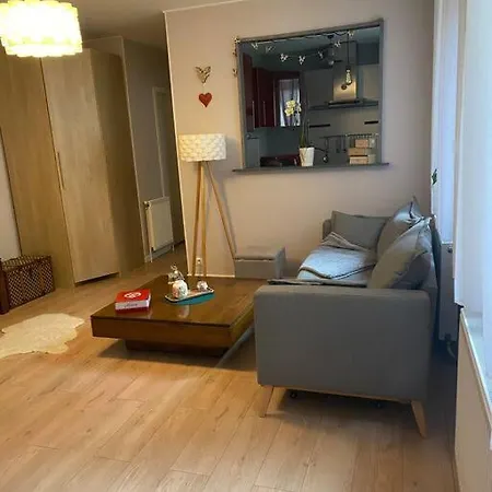 Bel Cosy Proche Centre / Gare Apartment